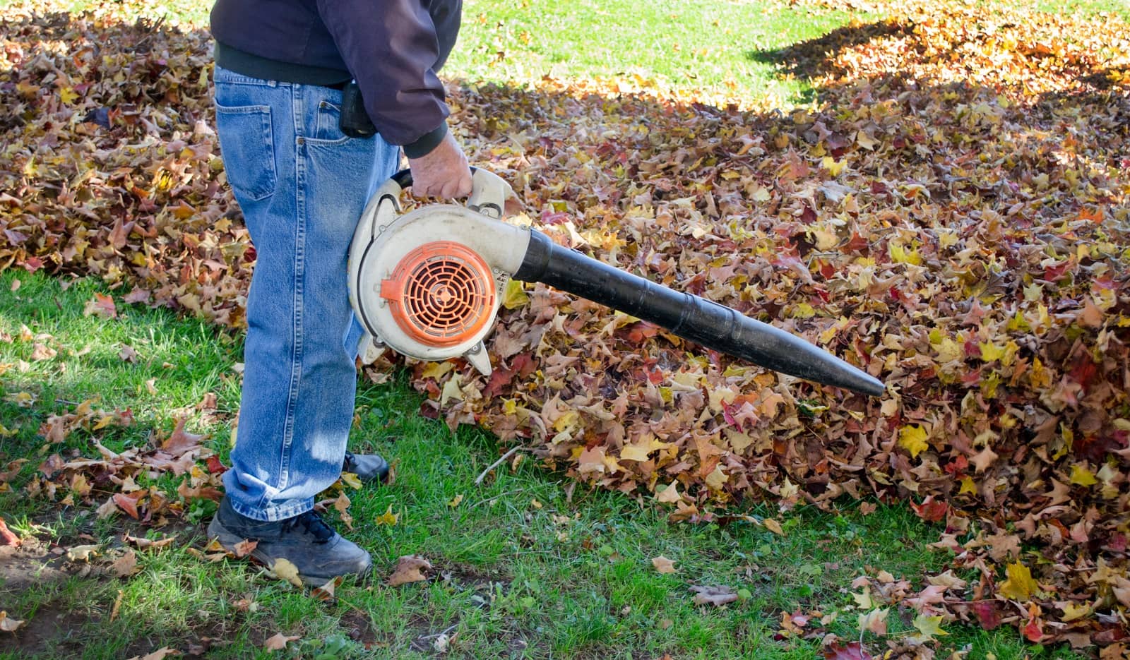 10 Best cordless leaf blowers
